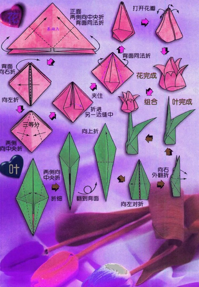 Как сделать тюльпан из бумаги поэтапно. Оригами из бумаги а4 цветок тюльпан. Оригами тюльпан схема. Оригами из бумаги цветы тюльпан схема. Тюльпан из бумаги схема.