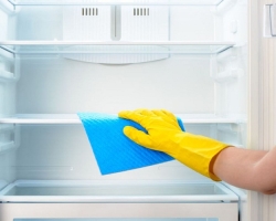 How to correctly wash the refrigerator inside: operating tips. How often to wash the refrigerator?