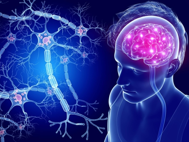 Asetilkolin adalah mediator yang dapat mempertahankan keseimbangan dalam sistem saraf