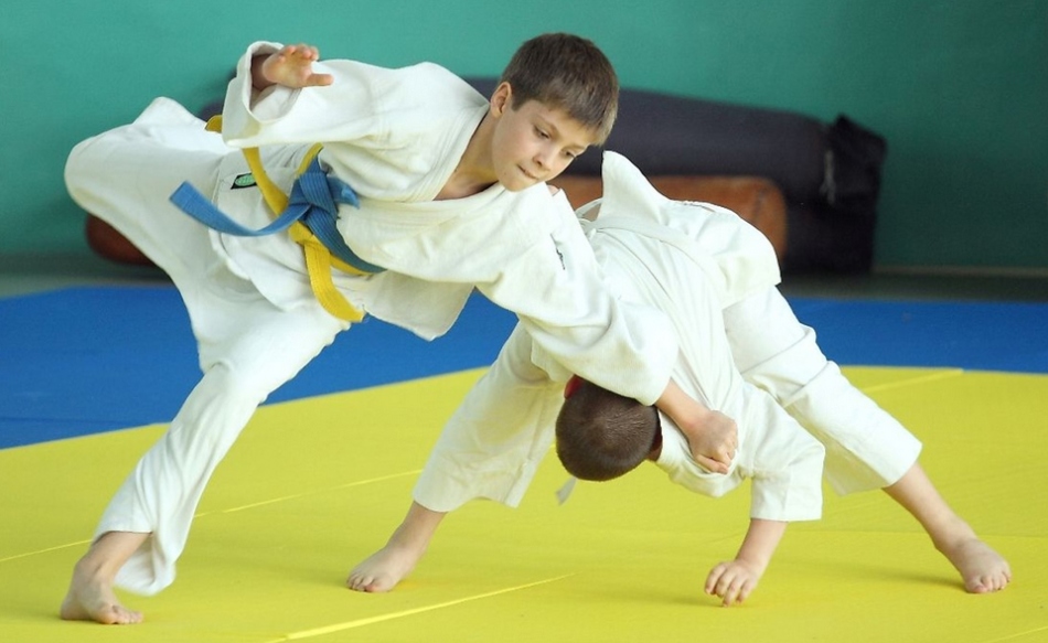Judo untuk anak -anak