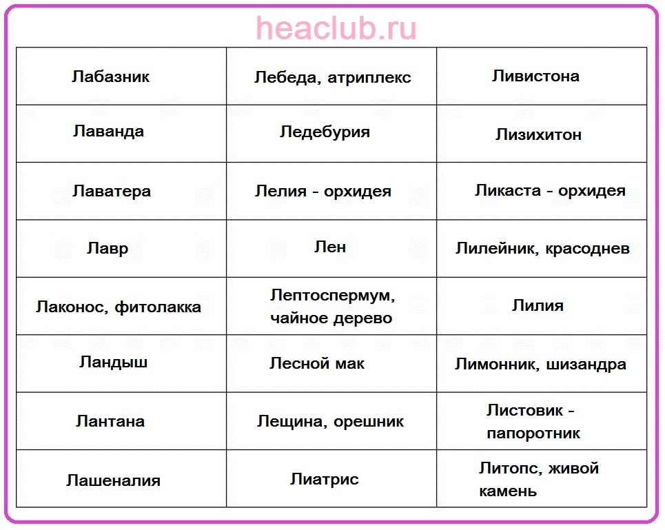 Названия цветов на "л" таблица