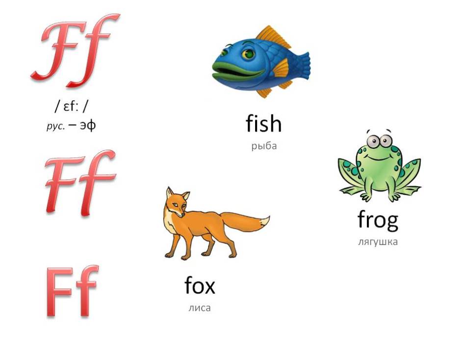 Английский алфавит с озвучкой для детей: буква ff
