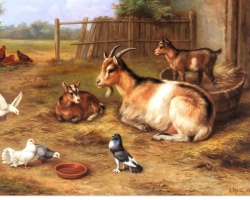 Signes folkloriques sur les animaux de compagnie - vaches, veaux, chevaux, porcs, chèvres, moutons, lapins, chiens, chats