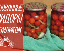 Tomat dengan Basil untuk Musim Dingin: 2 Langkah Terbaik -Recipe -Step dengan Bahan Detail