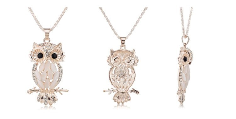 A gift for March 8 with Aliexpress: a pendant owl.