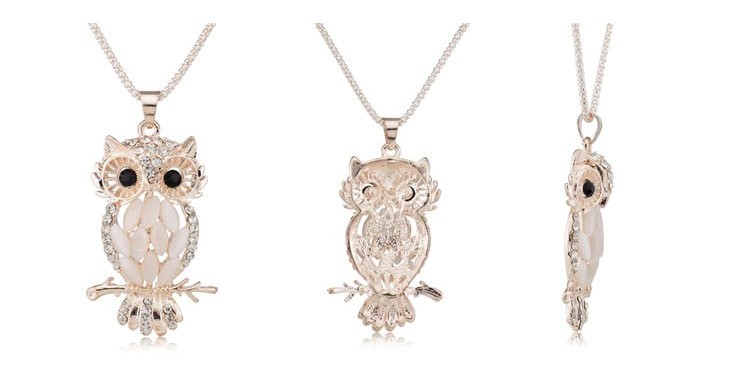 En gåva till 8 mars med Aliexpress: A Pendant Owl.