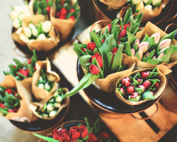 Cara merawat tulip dalam vas untuk menyimpannya paling lama: tips. Di dalam air apa, suhu berapa yang lebih baik menempatkan tulip yang dipotong, dan apa yang perlu ditambahkan ke air untuk tulip sehingga mereka berdiri lebih lama? Seberapa sering mengganti air di tulip?