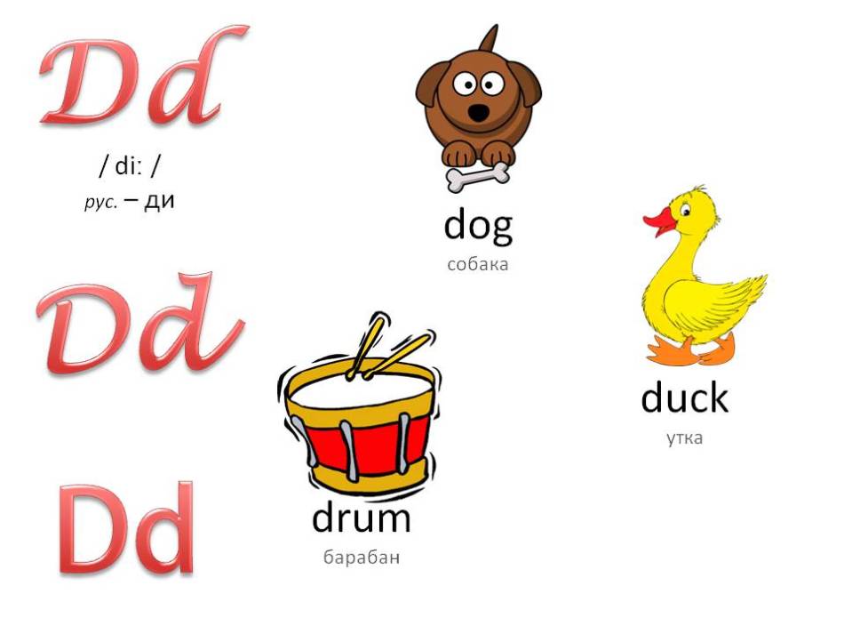 Английский алфавит с озвучкой для детей: буква dd