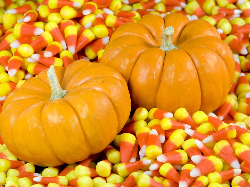 You can prepare real vitamin sweets from pumpkin