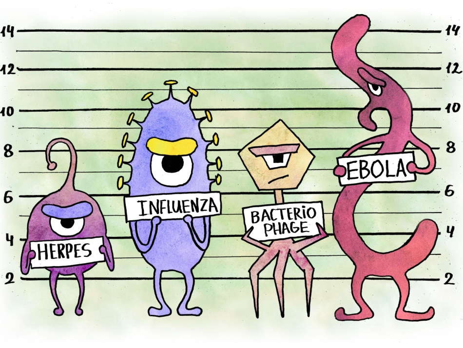 Proverbes et dictons intéressants sur le coronavirus depuis Internet