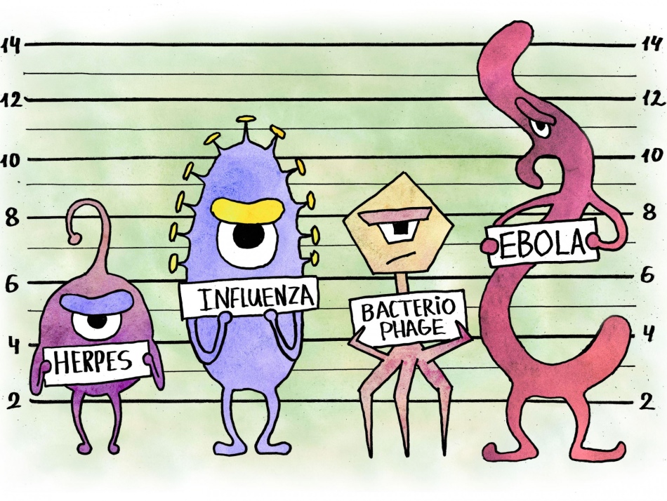 Amsal dan ucapan yang menarik tentang coronavirus dari internet