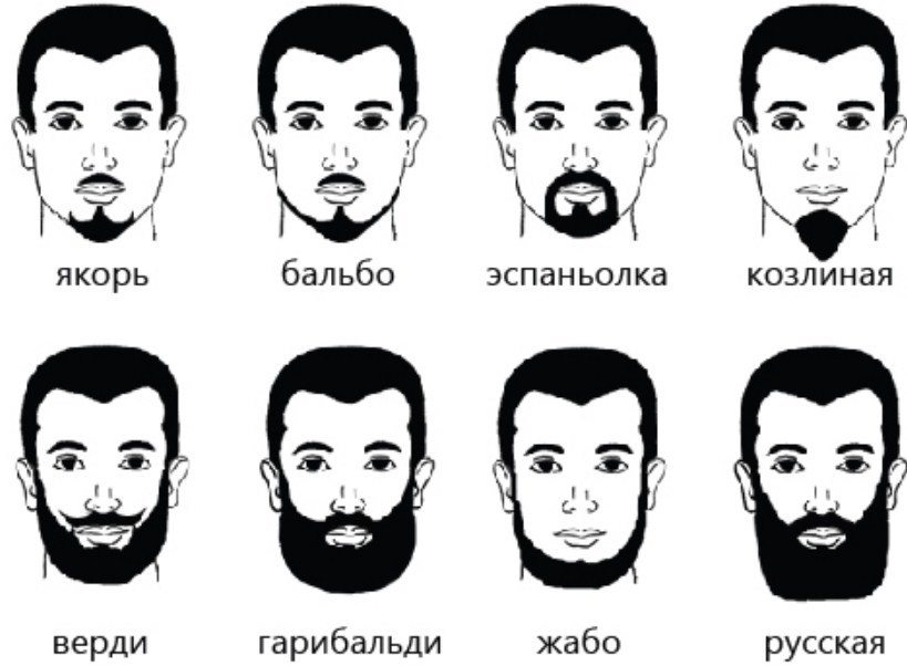 Борода форма бороды к какой форме лица какая борода подходит
