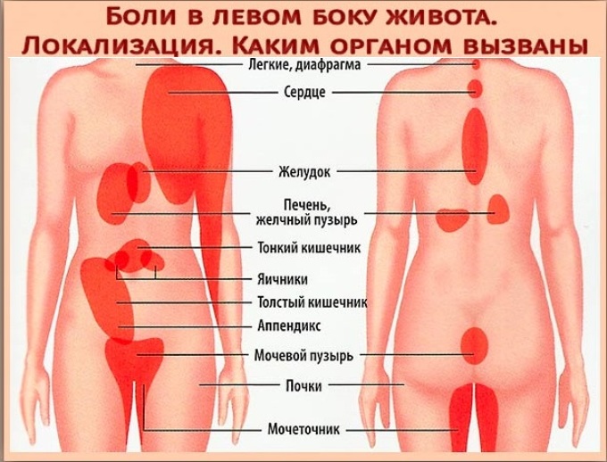 Боли в правом и левом боку со спины на уровне талии у женщин: причины на Богатырь
