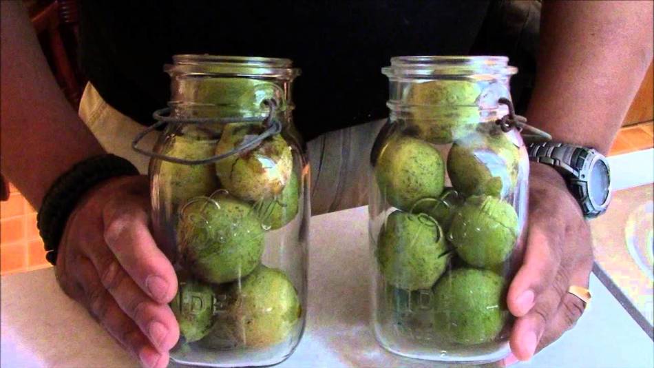V čisti obliki zelenih oreščkov ni mogoče jesti