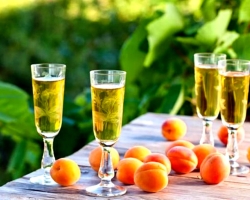 Abricot Wine: Comment faire à la maison? Vin d'abricot, avec l'ajout de cerises, de pommes, de jus de citron, de vin de raisin et d'épices: les meilleures recettes et secrets de cuisson