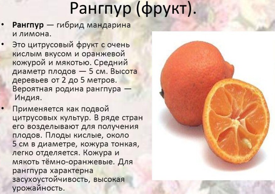 Смесь апельсина и лимона