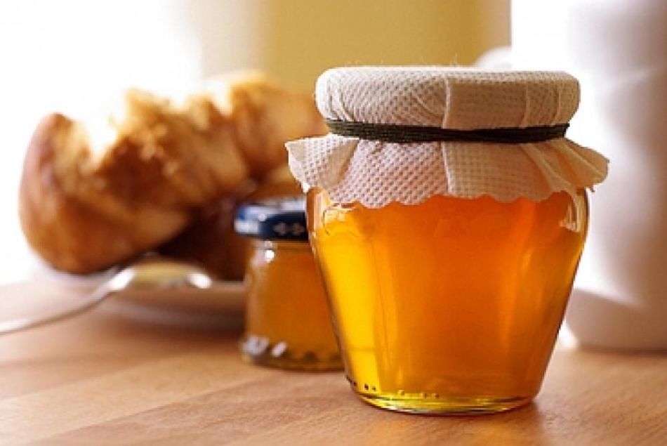 Мед с тыквой или цикорием способствует очищению печени