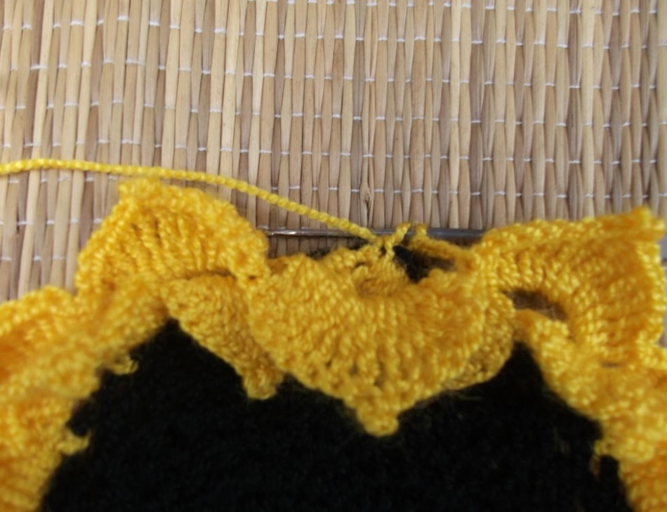 Le début de tricoter la troisième rangée de pétales au stand de tournesol
