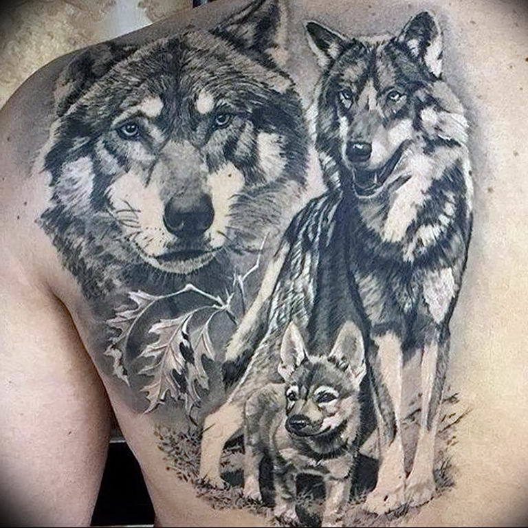 Wolf family 4