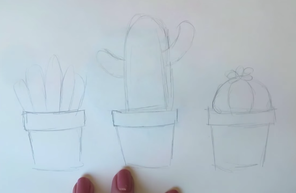 Рисуем контуры кактусов