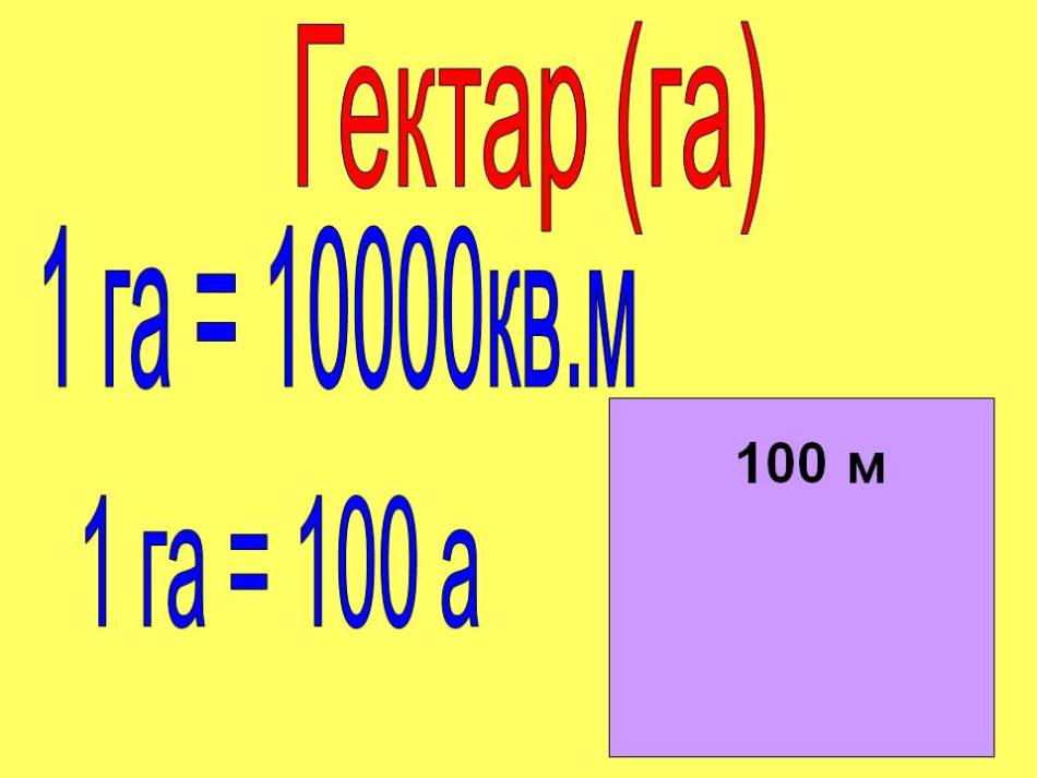 Ар и гектар презентация