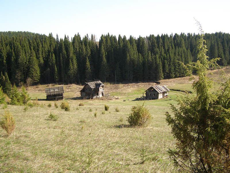 Ecoturismo: ¿A dónde ir y dónde relajarse en el verano en Udmurtia?