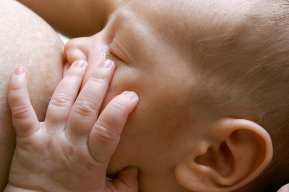 В первые месяцы после рождения ребенок может {amp}quot;висеть{amp}quot; на груди по 20 часов в сутки