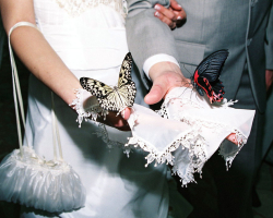 Εκπλήξεις για το γάμο των νεόνυμφων από φίλους, φίλες της νύφης, γονείς, αδελφές, καλύτερους φίλους, συγγενείς: πρωτότυπες ιδέες. Τι έκπληξη για να φτιάξετε έναν γαμπρό από τη νύφη και τη νύφη από τον γαμπρό στο γάμο: Οι καλύτερες ιδέες των εκπλήξεων του γάμου