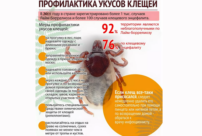 Ево како да се заштитите од ознаке ТицкБовене Инфекције