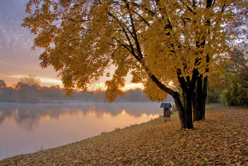 Hermoso noviembre