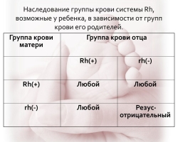 Какая группа крови будет у ребенка от родителей: таблица. Какие группы крови несовместимы или совместимы для зачатия: с какой группой крови нельзя иметь детей?