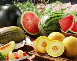 Apakah mungkin menjadi ibu menyusui di semangka? Bisakah melon dengan menyusui mungkin?