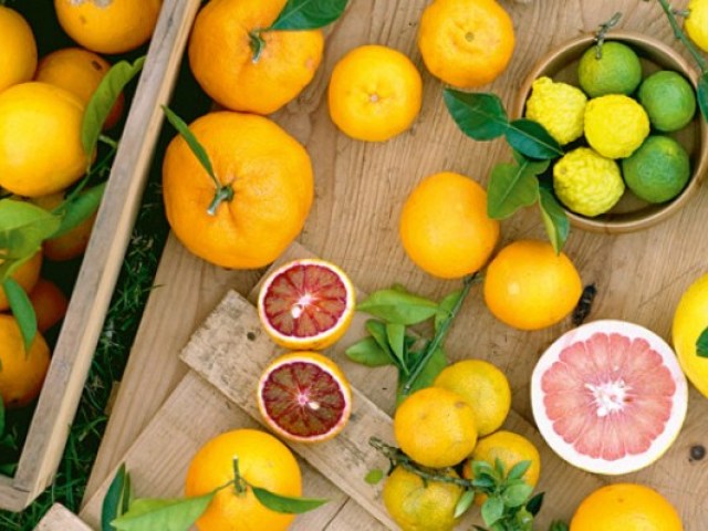 Citrus fruits: list of names, brief description, photo