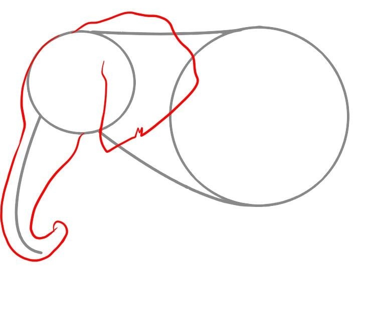 Hogyan rajzoljunk egy elefánt ceruzával: dolgozzon az állat fejére.