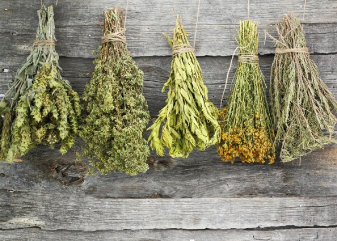 La collection d'herbes médicinales est un remède folklorique pour l'herpès génital.