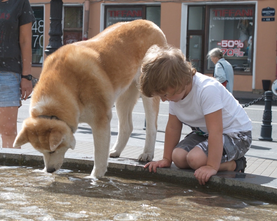 Jeux avec un animal de compagnie