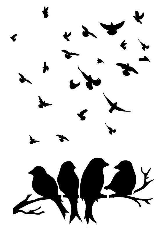 Stencil of birds for drawing - template, photo