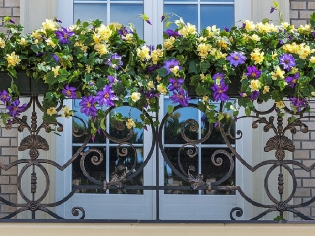 Какие неприхотливые цветы посадить на балконе на южной и северной стороне? Как организовать цветник из многолетних и однолетних растений на балконе своими руками, цветущих все лето: советы, идеи, уход