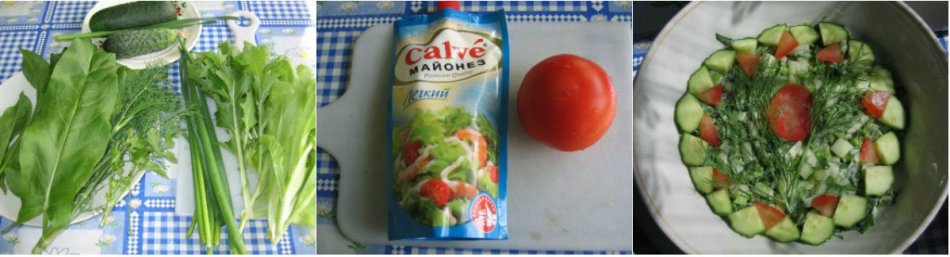 Salade avec de l'oseille et des tomates.