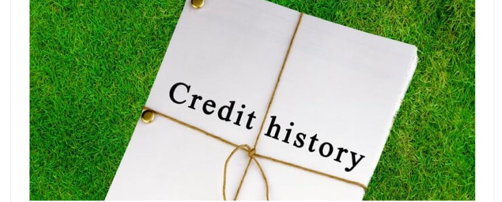 Verification of credit reputation