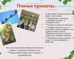 Знак је рањена птица у дворишту, на прагу, на балкону: Шта то значи? Како догодити вести, привући срећу: како неутрализовати акцију да прихватите птице?