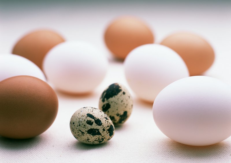 What is the food and energy value of one chicken and quail eggs of boiled?