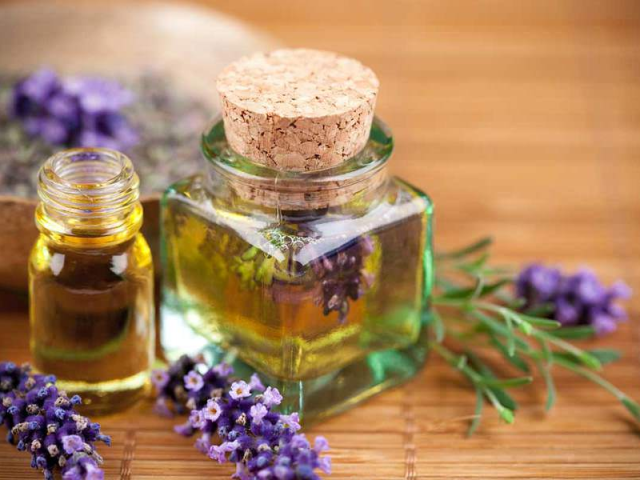 Lavender Essential Oil - Properti dan Penggunaan. Minyak lavender untuk kulit dan rambut
