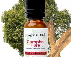 Camphor Oil vorteilhafte und therapeutische Eigenschaften, Kontraindikationen, Anweisungen zur Verwendung, Bewertungen. Rezepte für die Verwendung von Kampferöl bei Schmerzen in den Ohren, Erkältungen, laufender Nase, Mastopathie, Lactostase, für Haarwachstum, Augenbrauen, Wimpern, Gesichter, von Cellulite