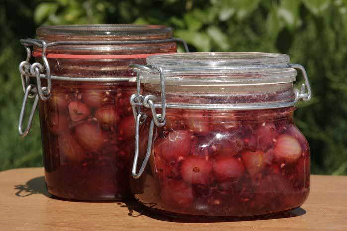 Marmellata wryngear e ribes.