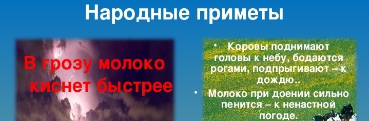 Народные приметы, связанные с коровами