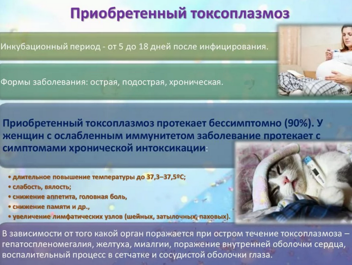 Rarely diagnosed causes of elevated temperature up to 37.5 and higher: toxoplasmosis
