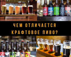 Kakšna je razlika med obrtnim pivom in navadnim razlitjem: priljubljene sorte craft pivo