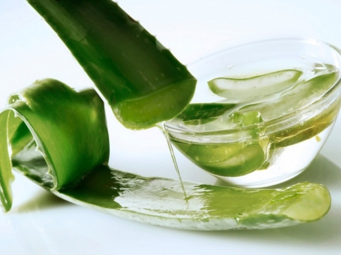 Aloe para la prevención