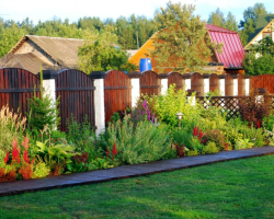 What plants can be planted along the fence depending on the type of fence: what to plant, the recommendations of landscape designers